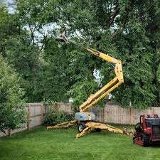  Burtonsville, MD Tree Removal Pros